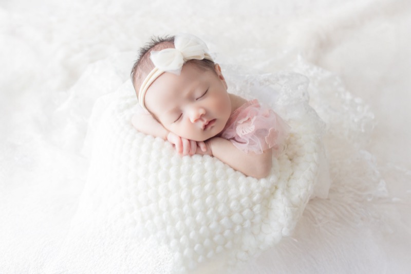 ベーシックプラン